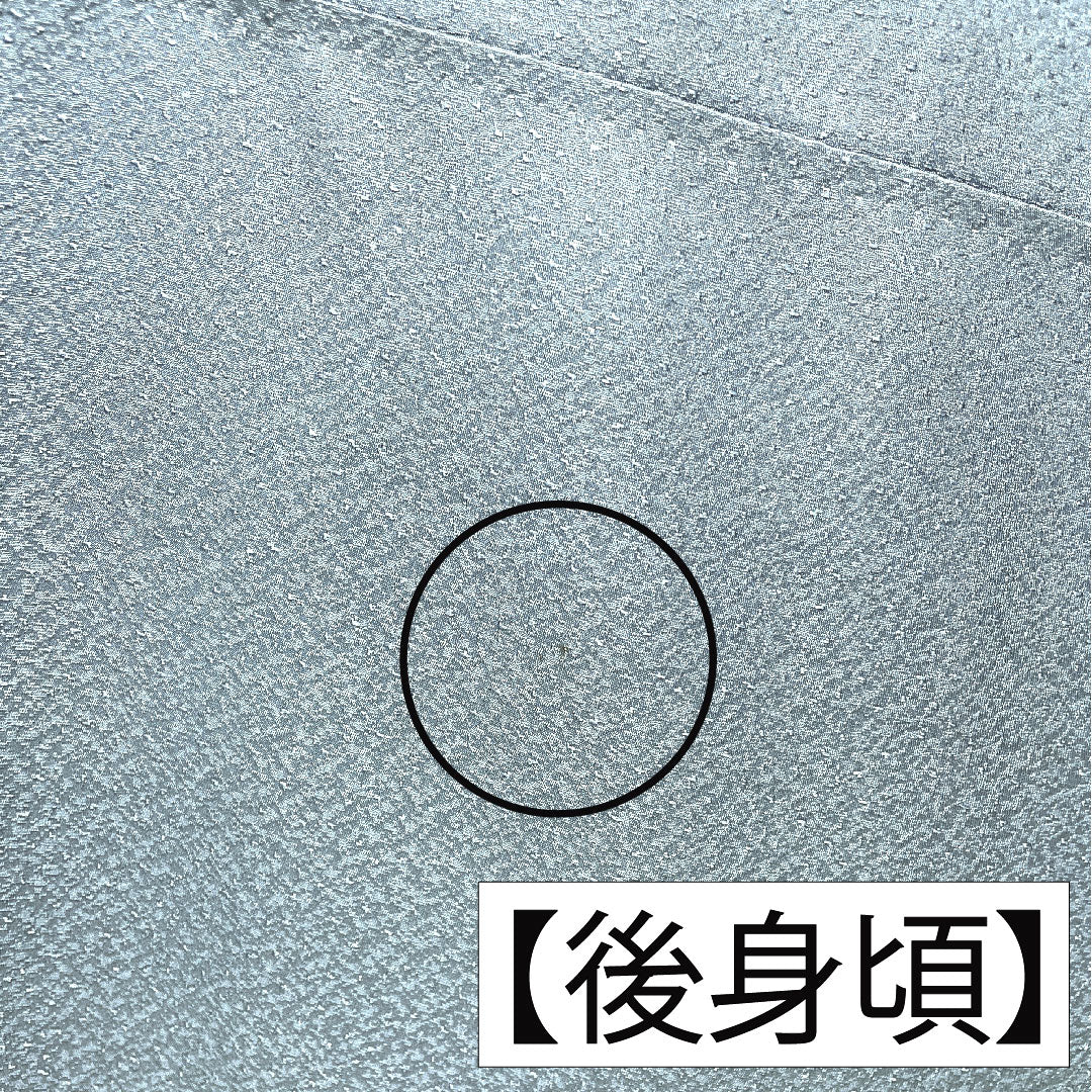 訪問着 正絹 袷 身丈158cm 裄丈63cm 薄花色(うすはないろ) 刺繍 草花模様 Aランク 青系 1112004693317