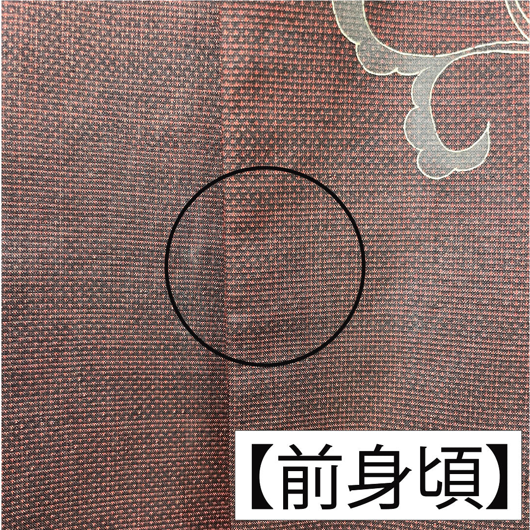 訪問着 正絹 袷 身丈158.5cm 裄丈65cm 生臙脂色(しょうえんじいろ) 大島紬地 紬地 蘇州刺繡 草花模様 Aランク 赤系 1112005493312