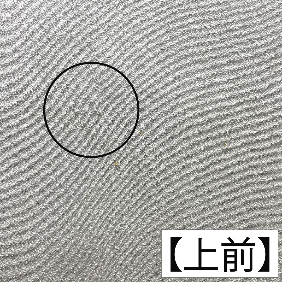 Homongi, pure silk, lined, length 167cm, sleeve length 62.5cm, white-green, Kyo-Yuzen, fan, dew grass, B rank, green, 1112004934519