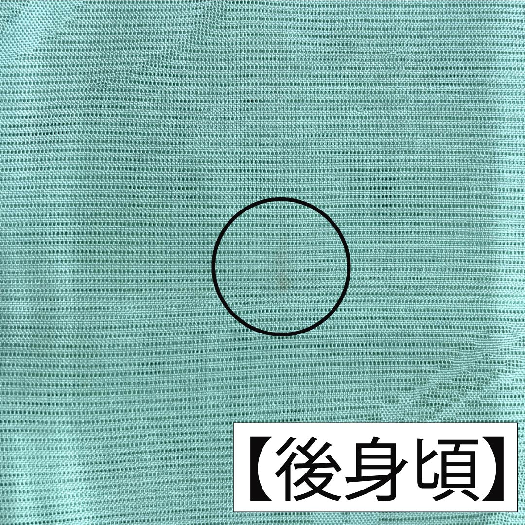 夏物 正絹 色無地 Aランク 身丈155.5cm 裄丈64cm 薄緑色(うすみどりいろ) 素無地 一つ紋 上り藤に一文字 絽 緑系 1132004743319
