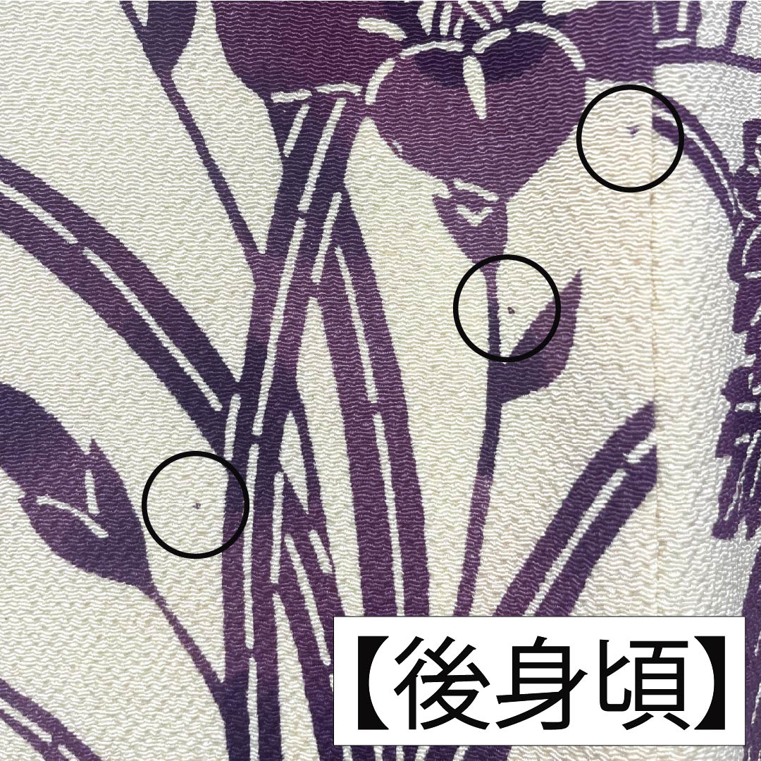Homongi, pure silk, lined, length 159.5cm, sleeve length 64.5cm, light egg color, Kyoto Bingata, floral pattern, flowing water, B rank, cream color, 1112006064315