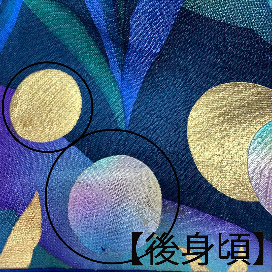 振袖 身丈176.5cm 裄丈64cm 袷 瑠璃色 花鳥模様 正絹 Bランク 紺系 1113001484818