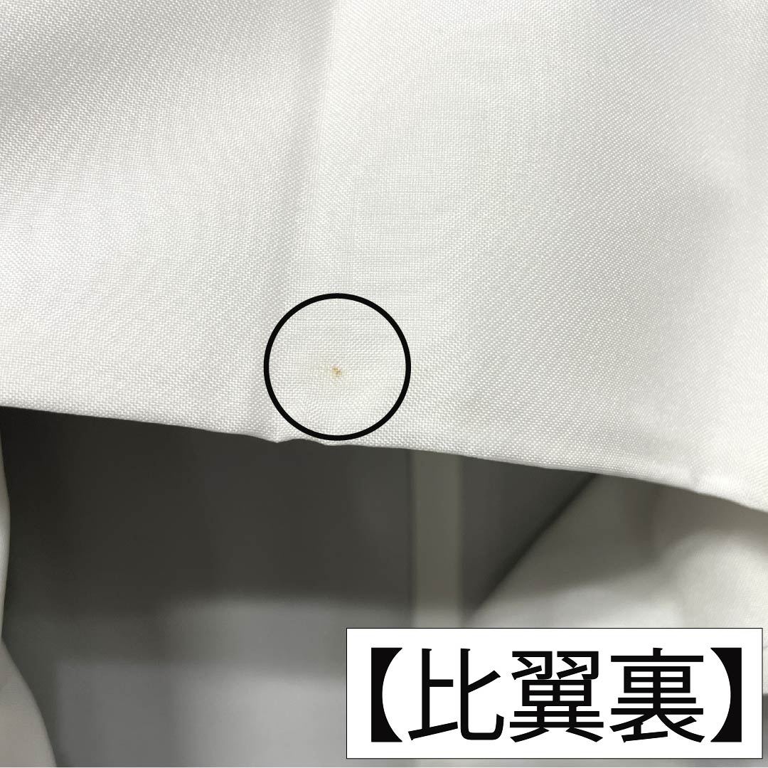 Black Tomesode (Japanese Kimono) - Pure Silk, S Rank, Length 163cm, Sleeve Length 66.5cm, Lined, Kyoto Yuzen, Five Crests, Paulownia, Crane, Noshi, Pine, Plum, Black, 1111002102410