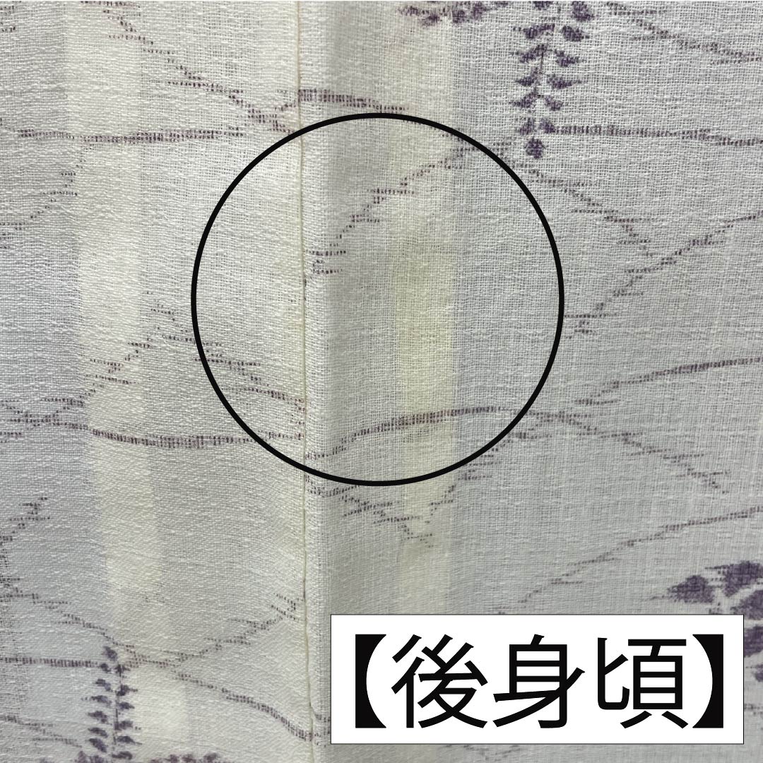Summer linen tsumugi (pongee) kimono, length 165cm, sleeve length 69cm, milky white (nyuhakushoku) Ojiya-chijimi (Ojiya-style silk) with floral and gauze patterns, rank A, white, product number 1132002683511