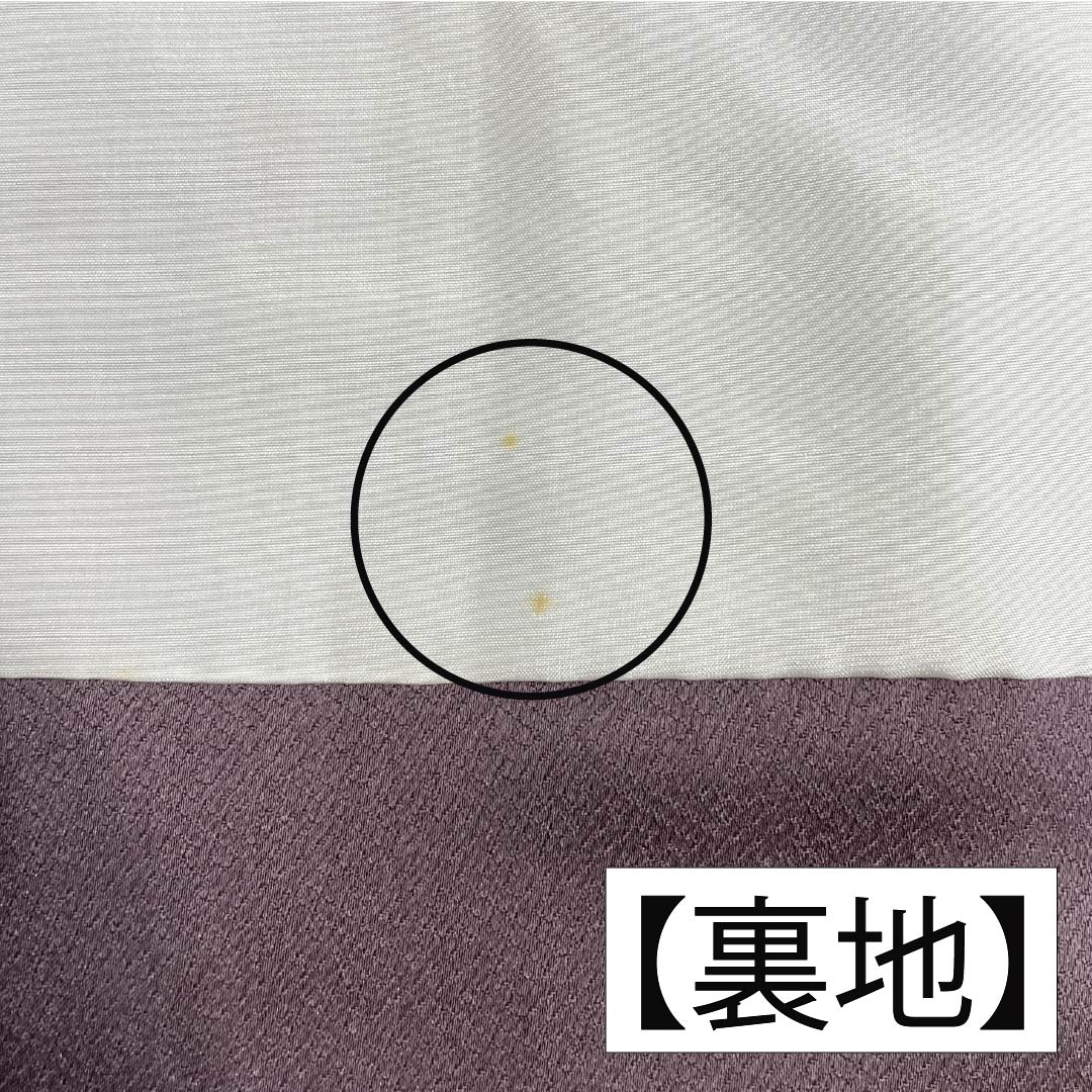 訪問着 正絹 Bランク 袷 身丈164cm 裄丈64.5cm 紅掛鼠色(べにかけねずいろ) 京友禅 一つ紋 草木 紫系 1112007044420