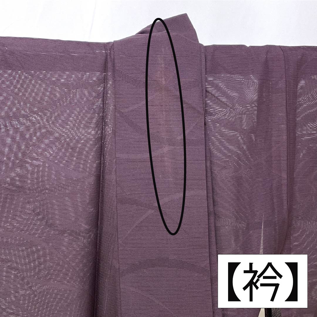 夏物 ポリエステル 色無地 Aランク 身丈158.5cm 裄丈65.5cm 紫烏色(しうしょく) 露芝 絽 紫系 1132004793320