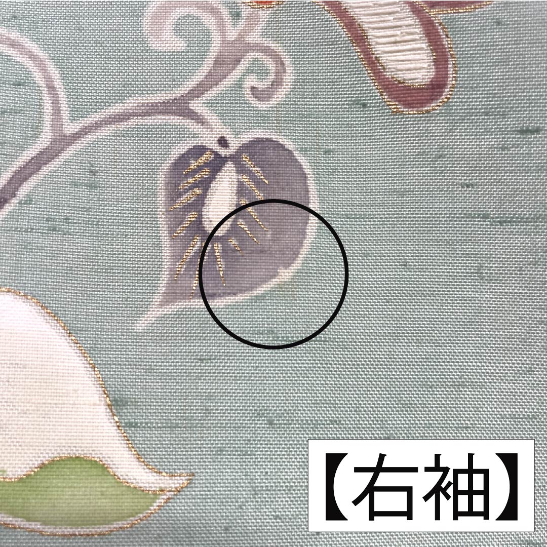 訪問着 正絹 Aランク 袷 身丈155cm 裄丈61cm 薄緑色(うすみどりいろ) 牛首紬 一つ紋 中陰蔦 草花 緑系 1112007533319