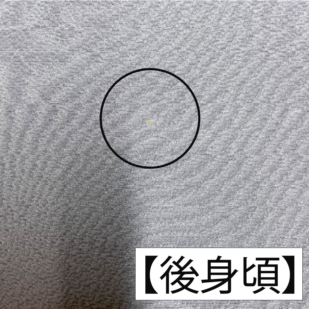 色無地 正絹 Aランク 身丈159cm 裄丈62cm 薄墨色(うすずみいろ) 一つ紋 下り藤 素無地 単衣 グレー系 1114002313322