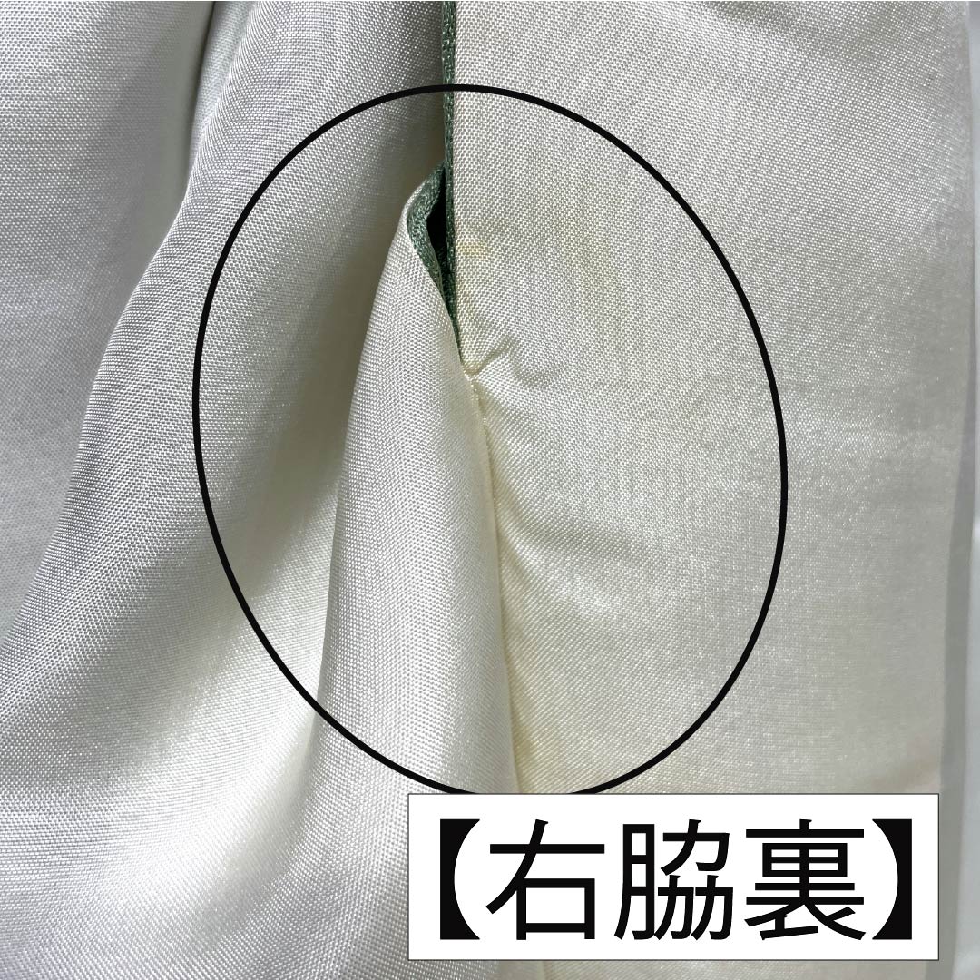 訪問着 正絹 Aランク 袷 身丈155cm 裄丈58.5cm 裏葉色(うらはいろ) 螺鈿煌彩 金彩加工 吉祥文様 丹後ちりめん 八丁水撚り 緑系 1112007423319