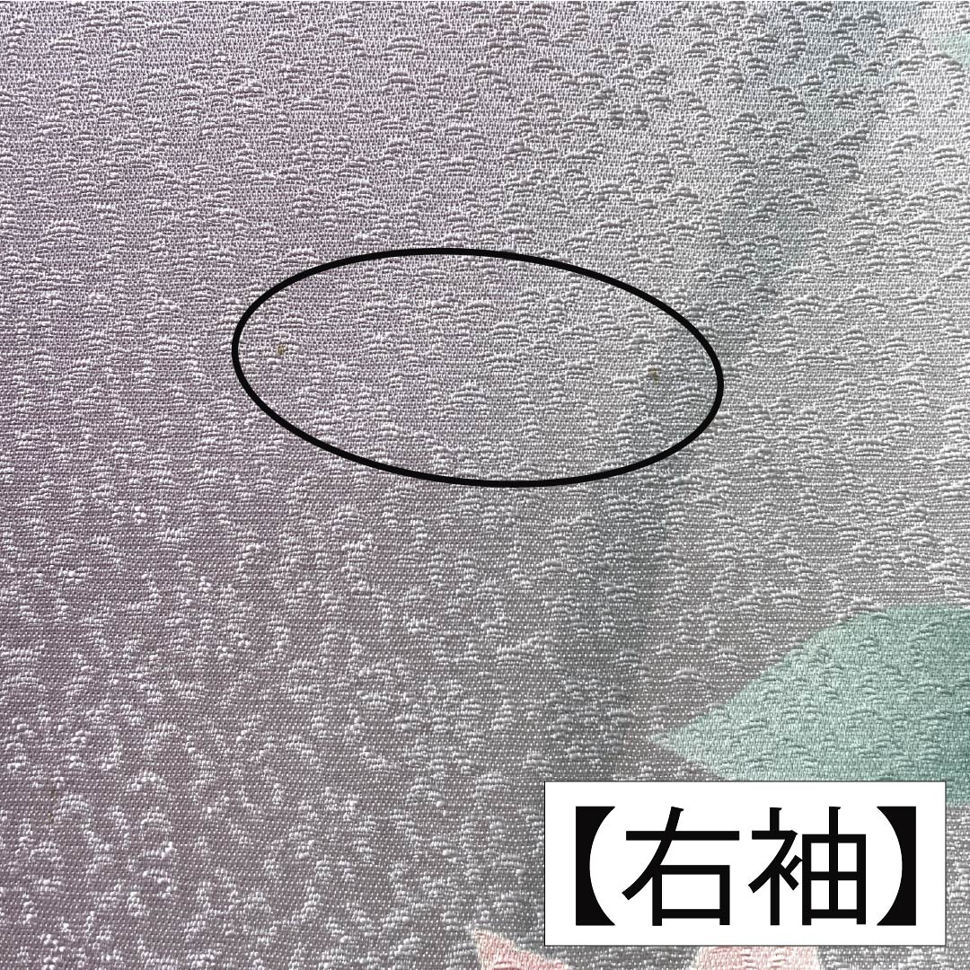 訪問着 正絹 Bランク 袷 身丈165.5cm 裄丈67.5cm 淡紅藤色(うすべにふじいろ) 付下げ 草花 紫系 1112007404520