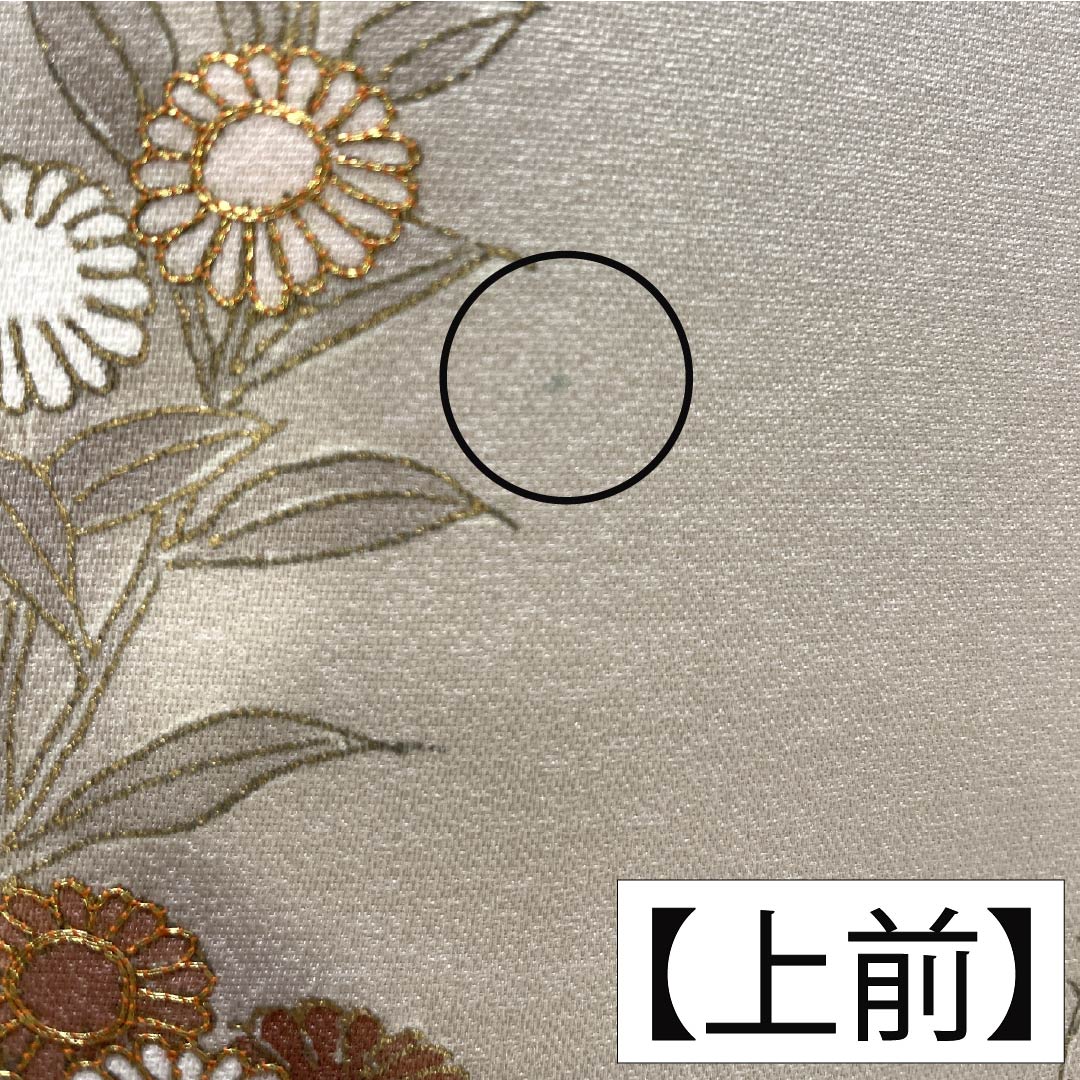 訪問着 正絹 Aランク 袷 身丈165.5cm 裄丈64cm 砥粉色(とのこいろ) 京友禅 ススキ 草花 萩 ベージュ系 1112007253525