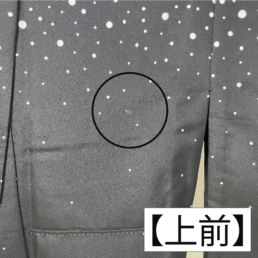 訪問着 ポリエステル Aランク 単衣 身丈154.5cm 裄丈63cm ドット柄 洗える着物 モノトーン 1112006153227
