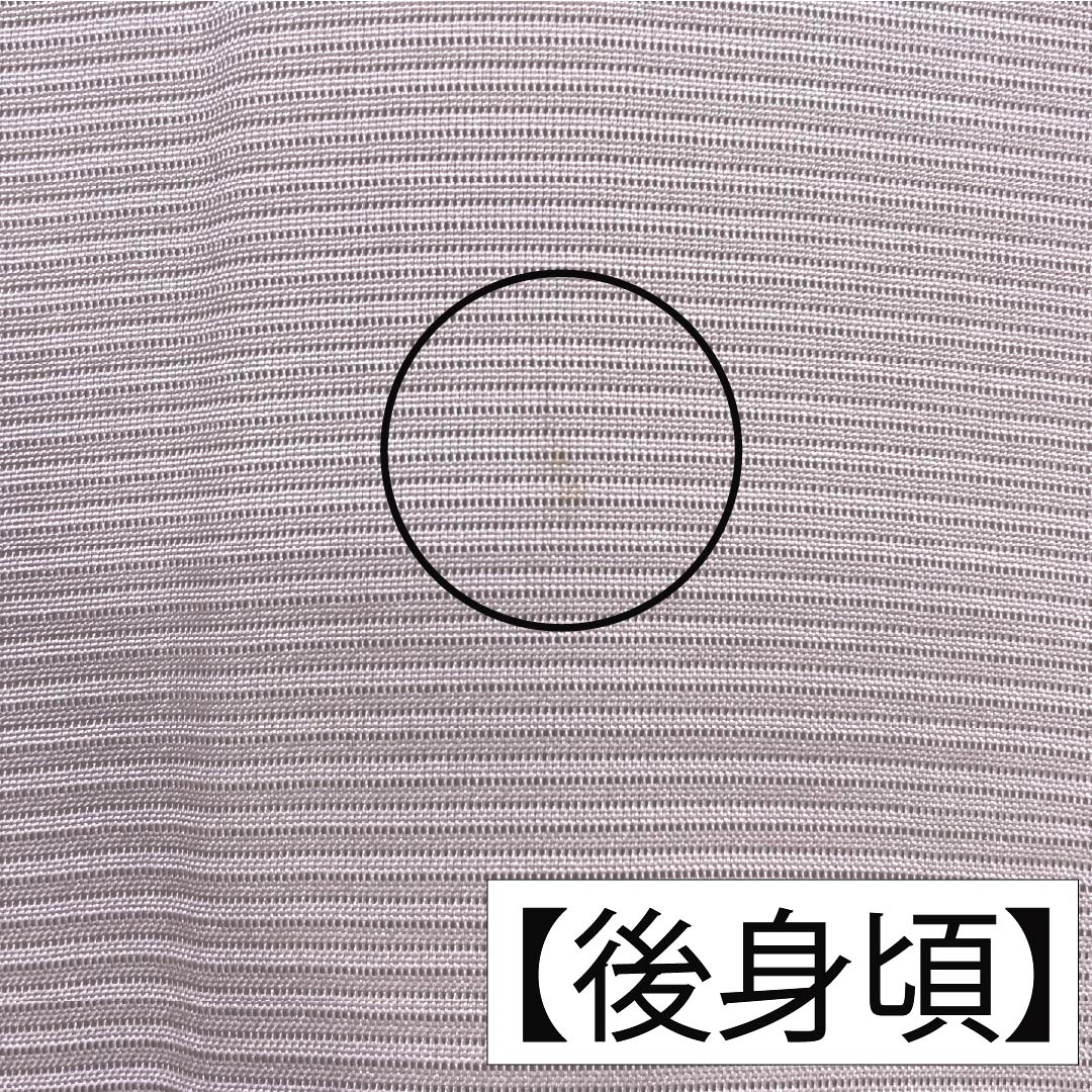 夏物 正絹 訪問着 身丈153cm 裄丈61.5cm 桜色(さくらいろ) 京友禅 一つ紋 丸に橘 絽 Bランク ピンク系 1132002194213