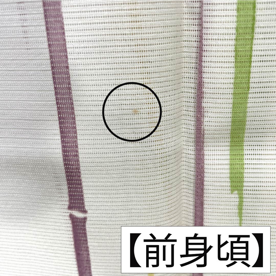 夏物 ポリエステル 小紋 Aランク 身丈158cm 裄丈64cm 乳白色(にゅうはくしょく) 洗える着物 竹 ススキ 絽 クリーム系 1132006083315