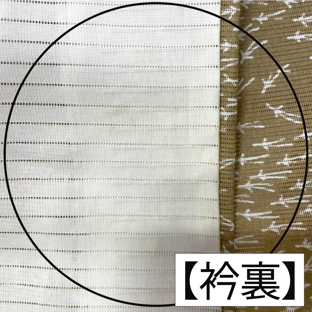 夏物 ポリエステル 小紋 Aランク 身丈151.5cm 裄丈61.5cm 芽色(かやいろ) 松葉 洗える着物 絽 ベージュ系 1132005403225