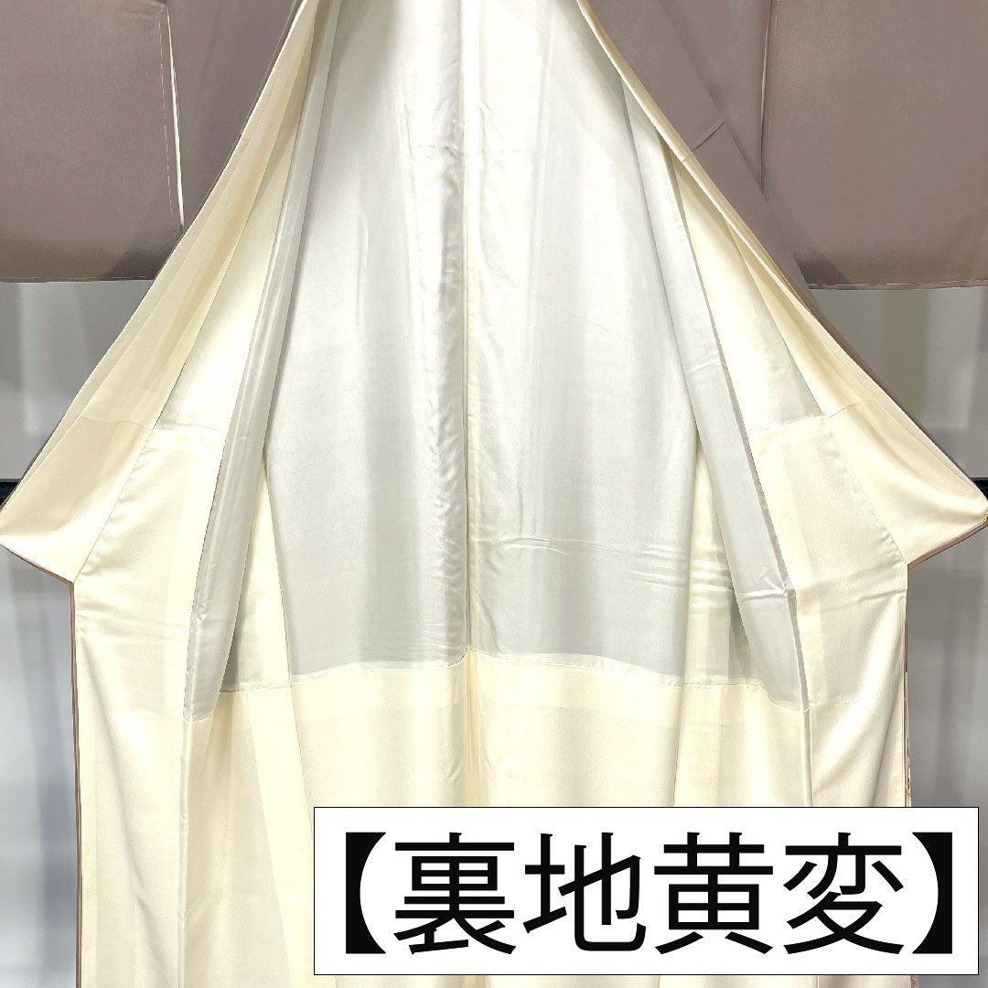 Colored Tomesode, pure silk, length 165cm, sleeve length 66cm, lined, plum gray, genuine Kaga Yuzen, Ichiro Kakimoto, floral pattern, three crests, circle with three split quince, B rank, three crests, purple, 1111001314520