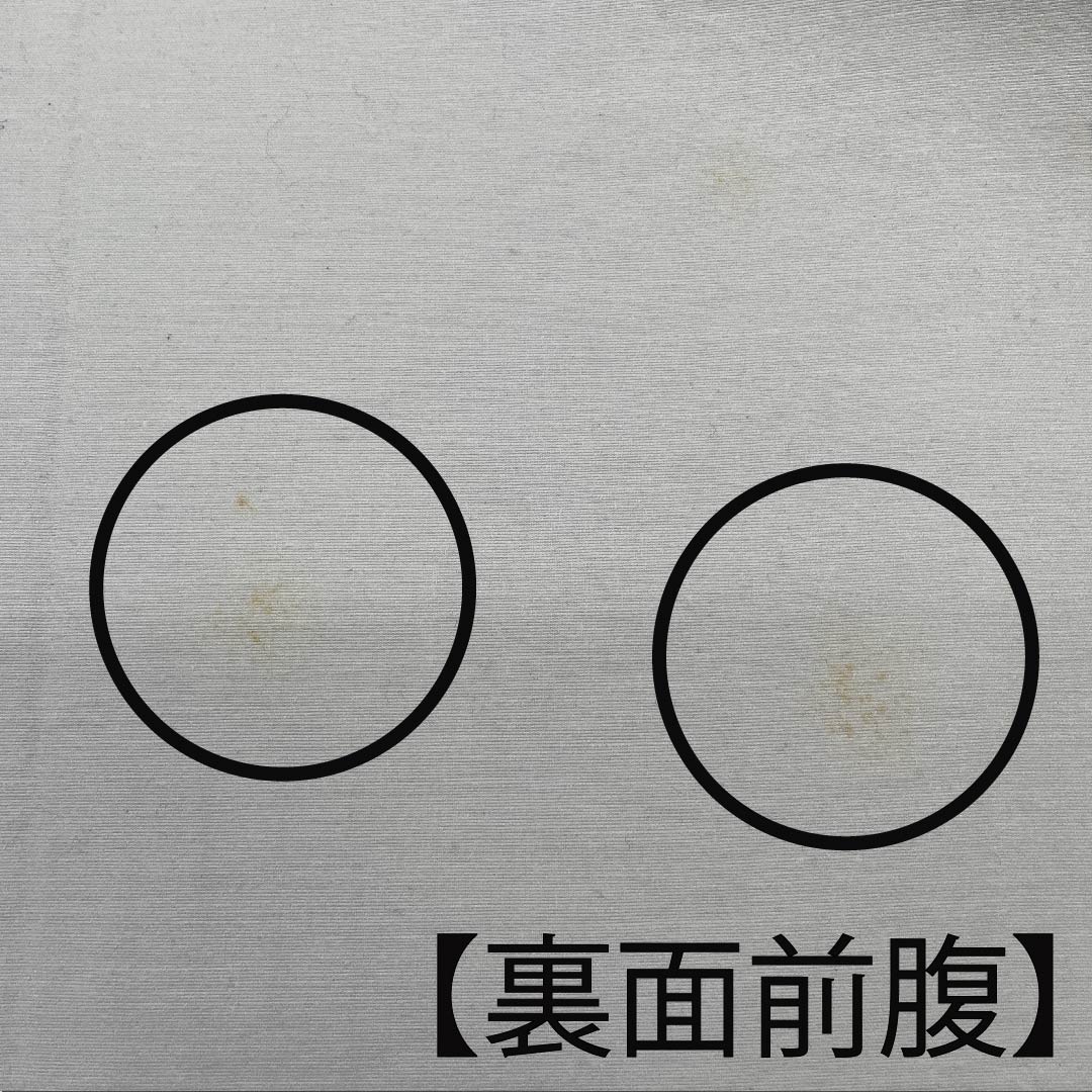 名古屋帯 黒色 モノトーン 花柄 長尺 帯丈376cm 正絹 Bランク ポイント柄 カジュアル 黒系 1124006174310 開き仕立て