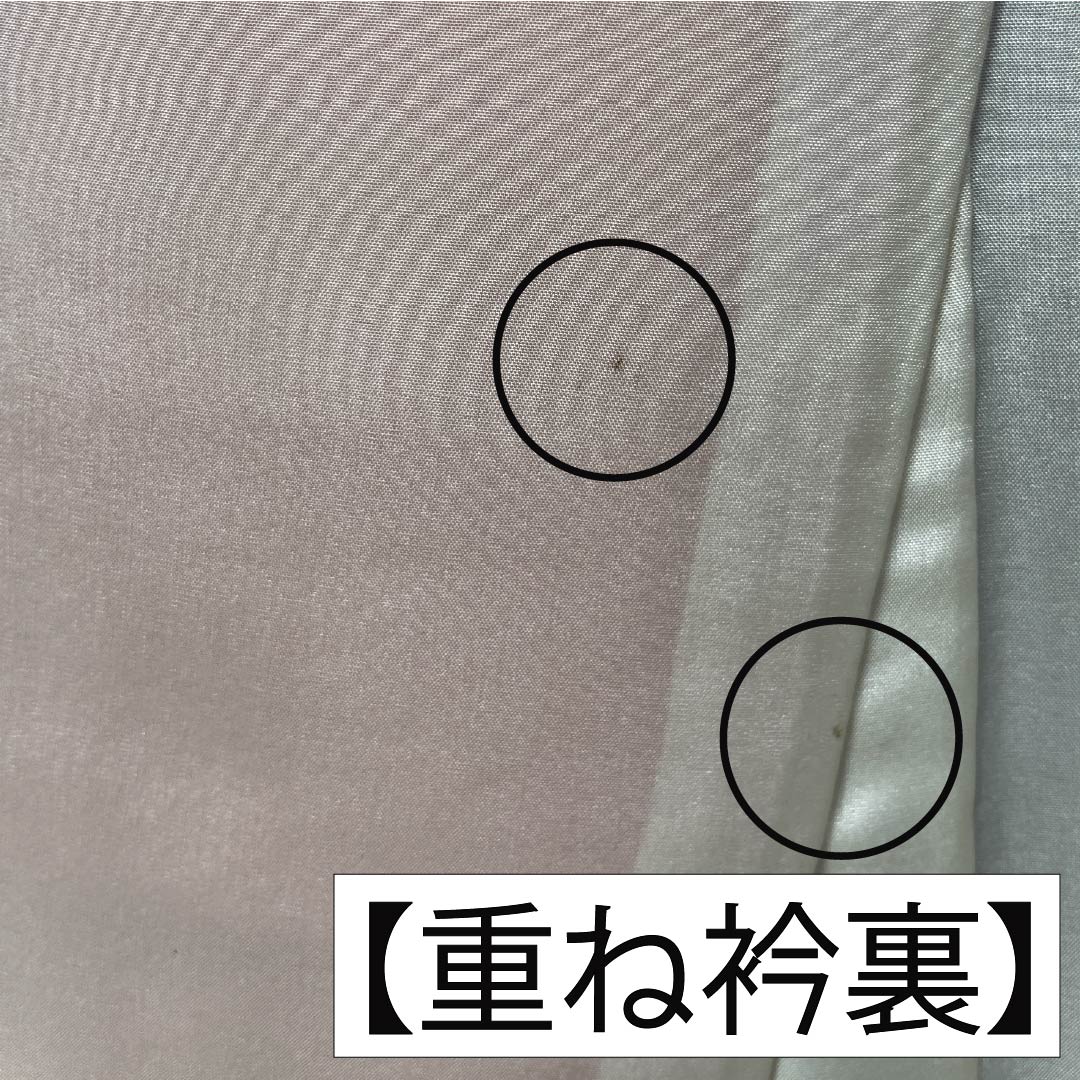 振袖 正絹 Aランク 身丈153cm 裄丈60.5cm 袷 型染 吉祥文様 梅 菊 ちりめん地 重ね衿付き 青系 1113002233217