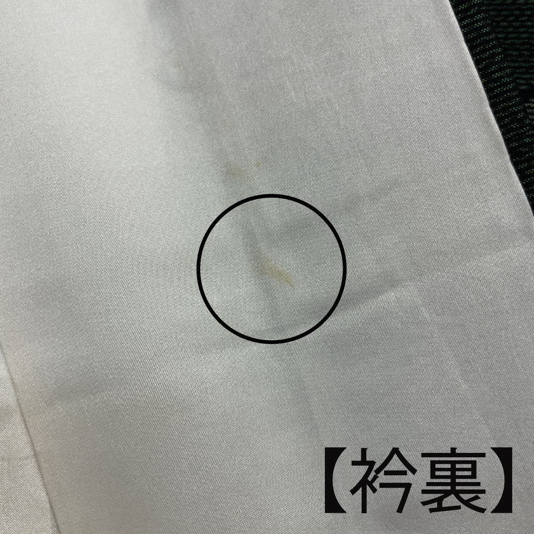 大島紬 身丈166cm 裄丈67cm 緯総絣 亀甲 正絹 Bランク 袷 緑系 1116001554519