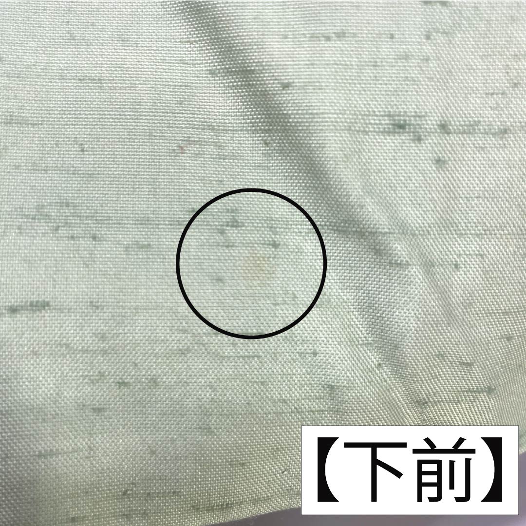 訪問着 正絹 Aランク 袷 身丈155cm 裄丈61cm 薄緑色(うすみどりいろ) 牛首紬 一つ紋 中陰蔦 草花 緑系 1112007533319