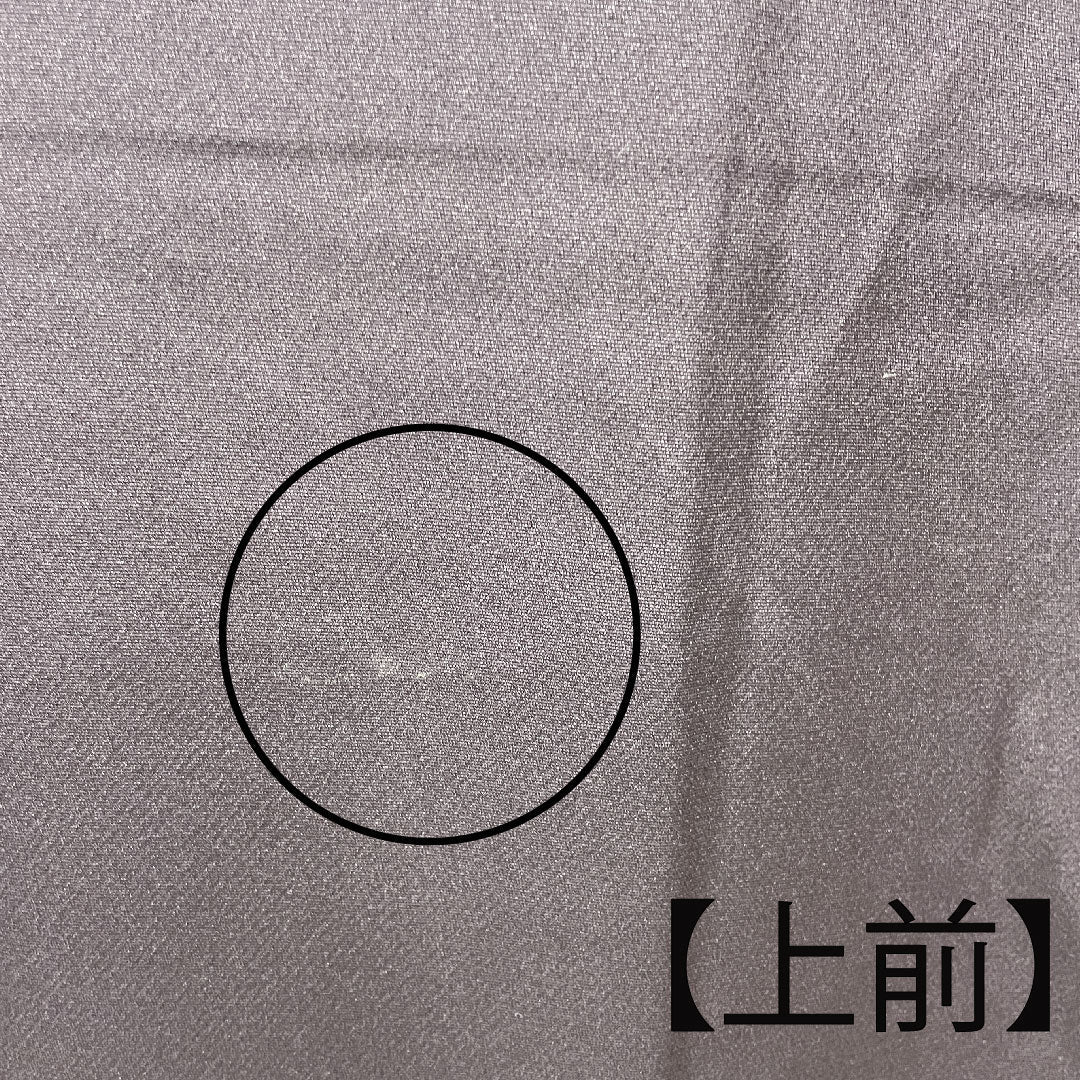 訪問着 袷 身丈164cm 裄丈65cm 紫黒色 作家物 風景模様 正絹 Aランク 紫系 1112002483420