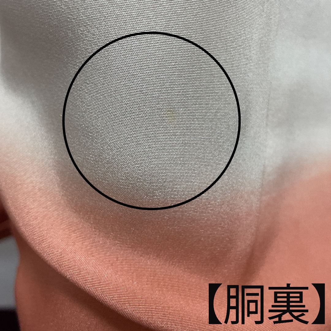 訪問着 袷 身丈145cm 裄丈63cm 珊瑚色 京友禅 桜 流水 正絹 Aランク 朱系 1112002053116