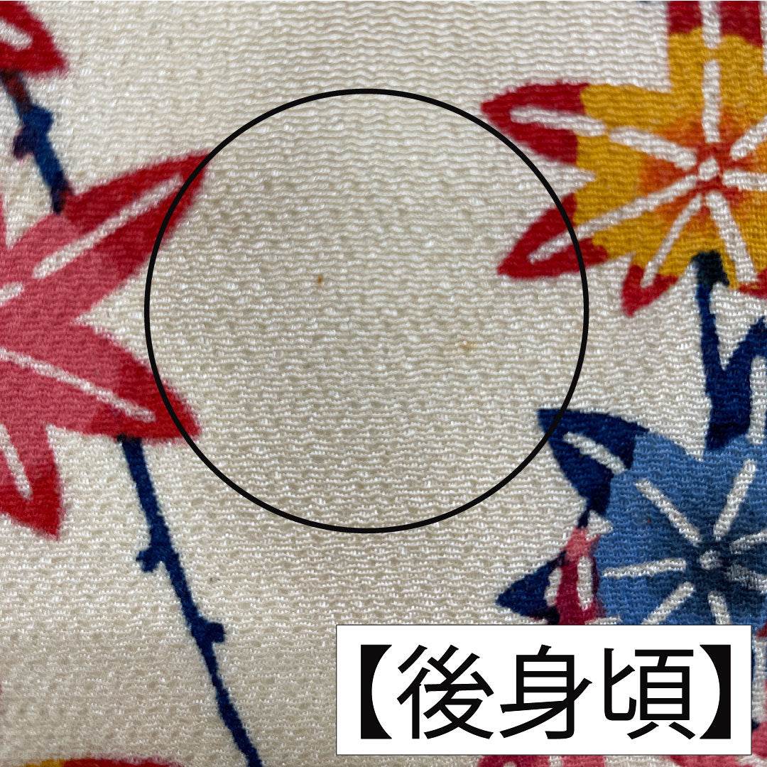 訪問着 正絹 袷 身丈158.5cm 裄丈65cm 密陀僧色(みつだそういろ) 京紅型 紅葉 鳥 Aランク クリーム系 1112005943315