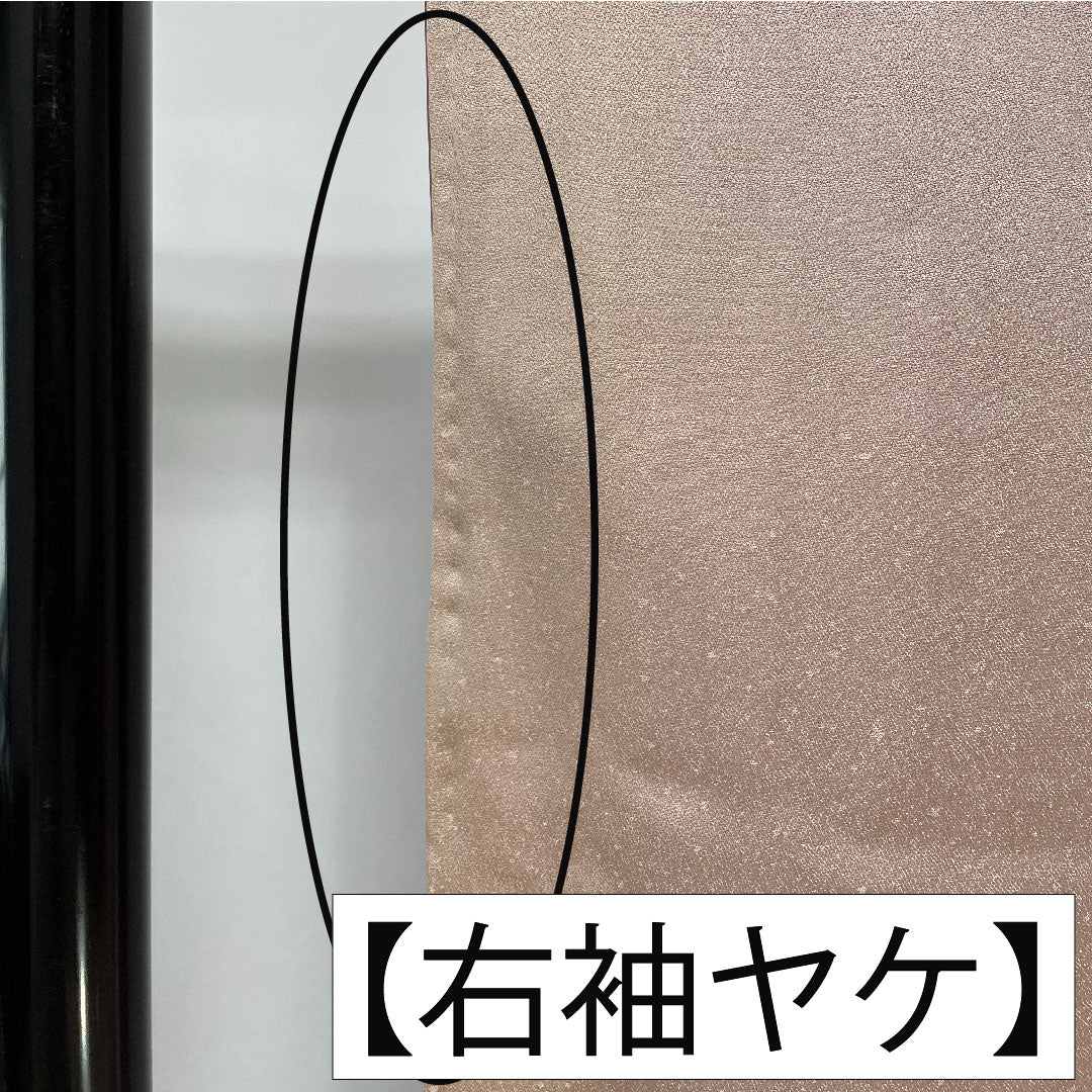 訪問着 正絹 袷 身丈160.5cm 裄丈63cm 白梅色(しらうめいろ) 京友禅 茶屋辻模様 Bランク ピンク系 1112005894413