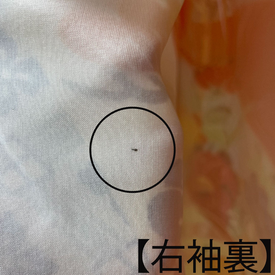 振袖 正絹 身丈151cm 裄丈62cm 袷 黄丹色 京紅型 吉祥文様 Aランク 橙系 1113001913226