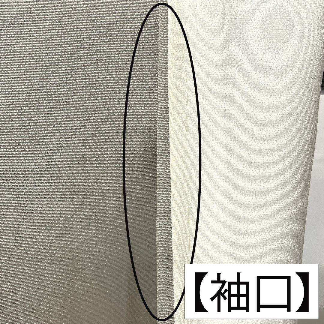 色留袖 正絹 身丈161cm 裄丈63cm 袷 薄鼠色(うすねずいろ) 京友禅 波 帆掛け船 一つ紋 五三桐 クイーンパール加工 Aランク グレー系 1111001433422