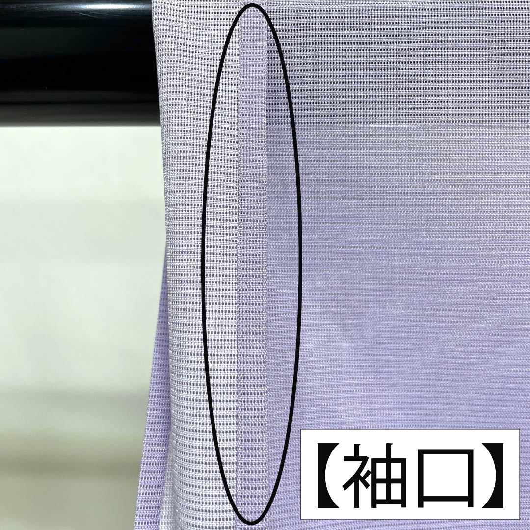 夏物 ポリエステル 付下げ Aランク 身丈161cm 裄丈64cm 薄藤色(うすふじいろ) 洗える着物 古典柄 絽 紫系 1132006073420