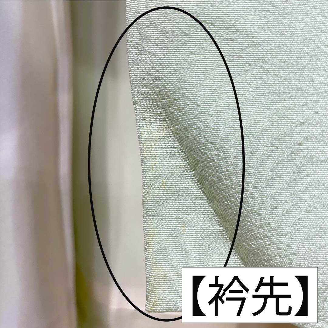 訪問着 正絹 Bランク 袷 身丈165cm 裄丈65.5cm 薄緑色(うすみどりいろ) 花 作家物 周市 しつけ糸付き 緑系 1112006974519