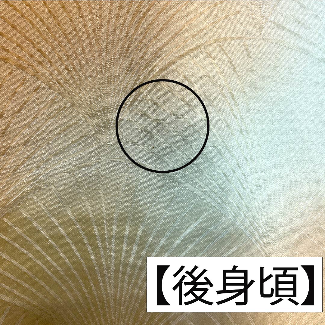 色無地 ポリエステル Aランク 身丈148.5cm 裄丈58.5cm 玉蜀黍色(とうもろこしいろ) 淡黄蘗色(うすきはだいろ) ボカシ染 松葉 袷 橙系 1114002303126