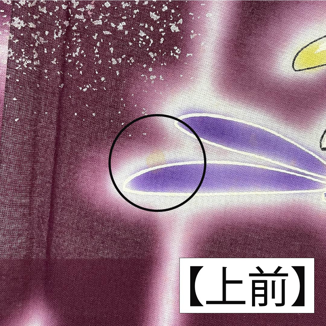 Cotton Yukata, Length 165cm, Sleeve Length 67.5cm, Rank A, Single Layer, Purple with Mulberry Color, Dragonfly Design, Kansai Yamamoto, Product Number 1118006293520