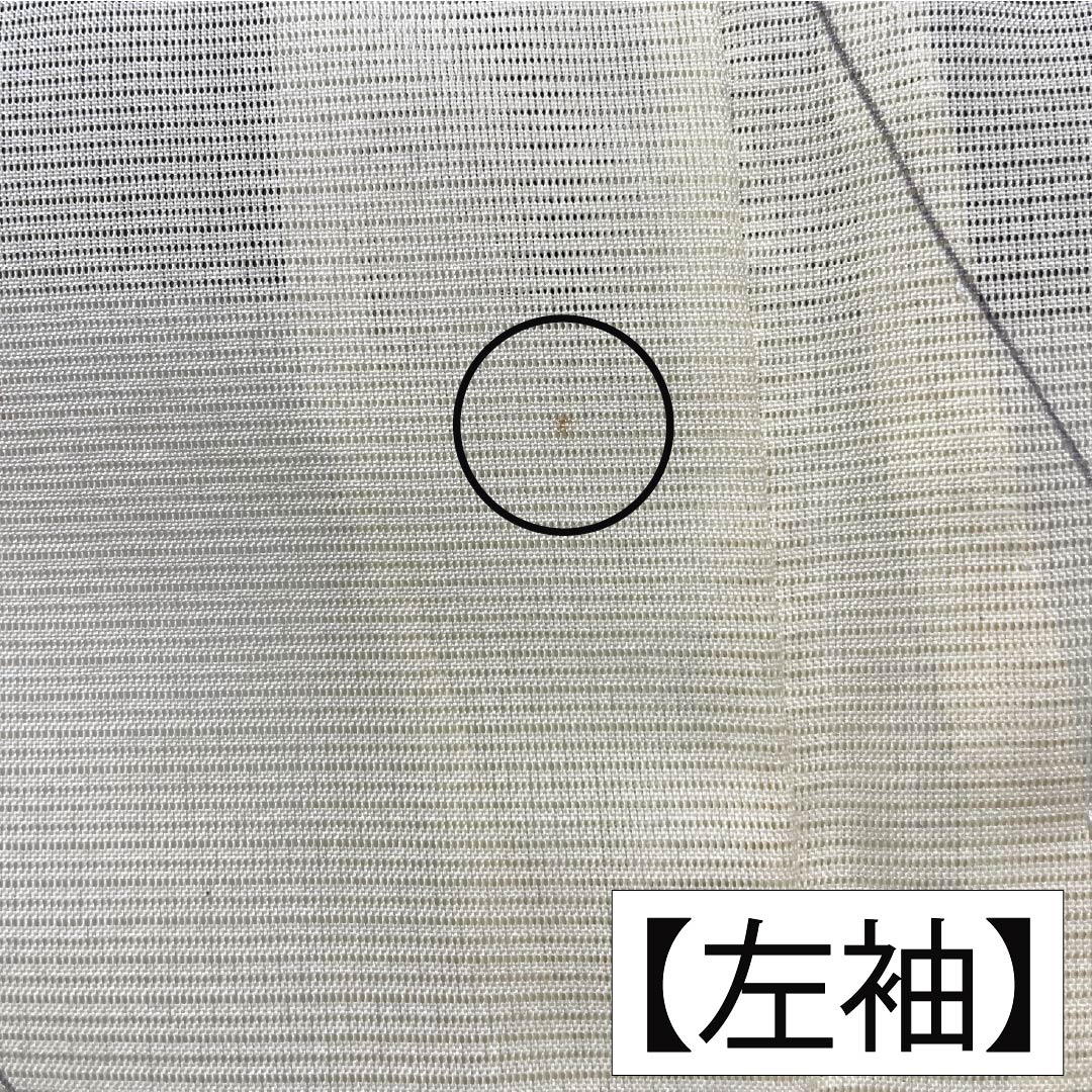 夏物 ポリエステル 小紋 Aランク 身丈163.5cm 裄丈64cm 白百合色(しらゆりいろ) 草花模様 絽 黄系 1132004513423