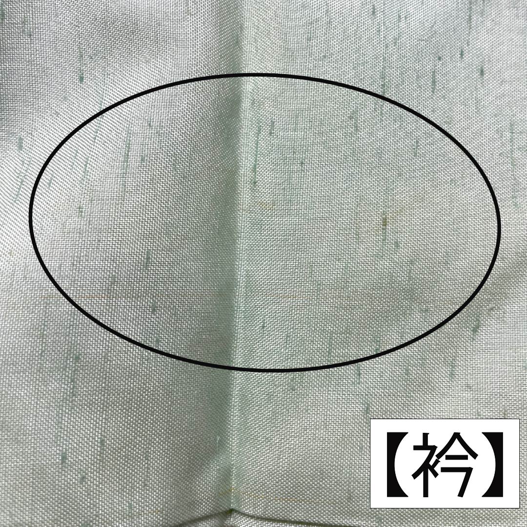 訪問着 正絹 Aランク 袷 身丈155cm 裄丈61cm 薄緑色(うすみどりいろ) 牛首紬 一つ紋 中陰蔦 草花 緑系 1112007533319