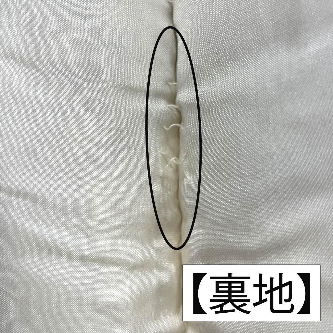 Homongi, pure silk, lined, length 159.5cm, sleeve length 64.5cm, light egg color, Kyoto Bingata, floral pattern, flowing water, B rank, cream color, 1112006064315