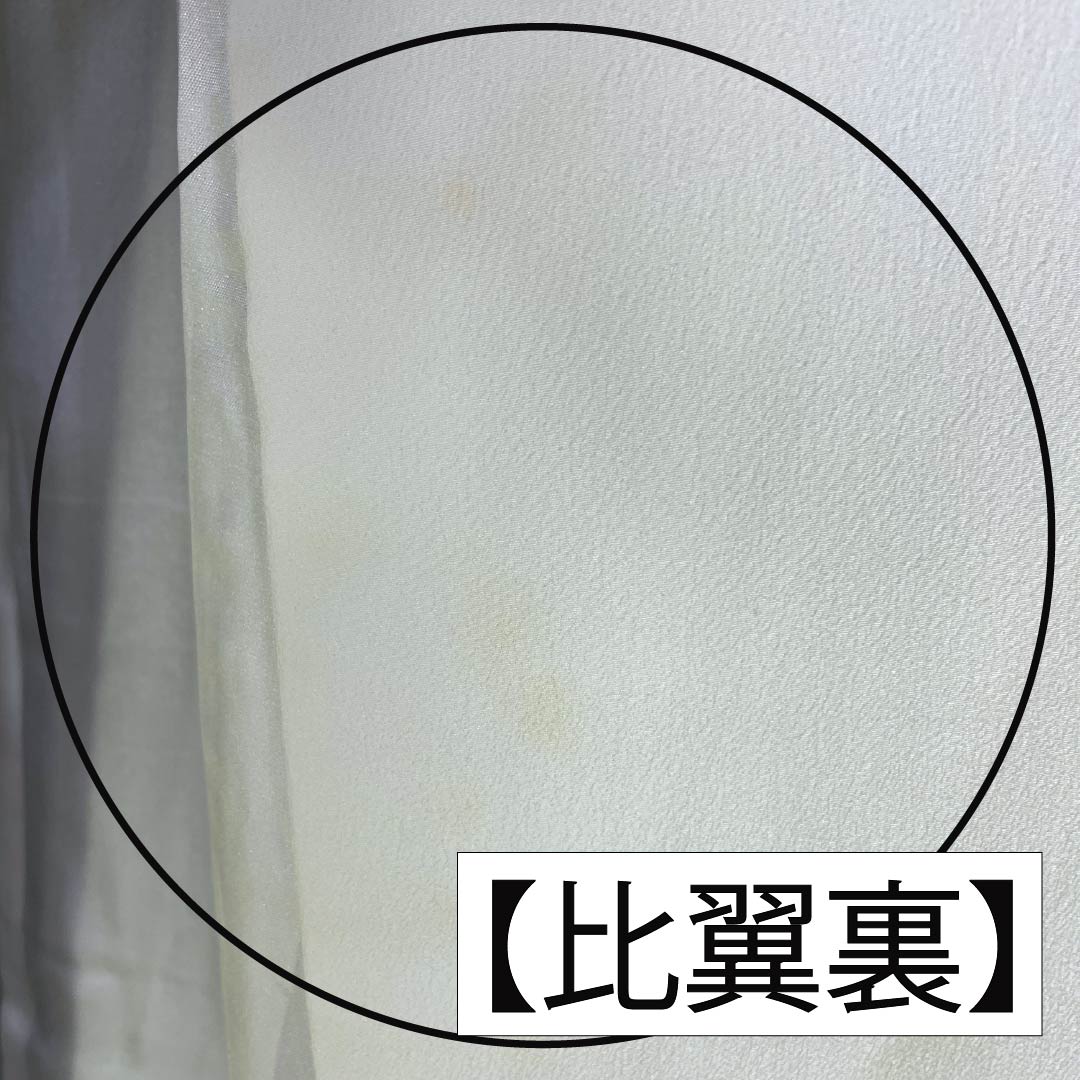 黒留袖 正絹 Bランク 身丈157cm 裄丈64.5cm 袷 五つ紋 五三桐 鶴 松 流水 五つ紋 黒系 1111001914310