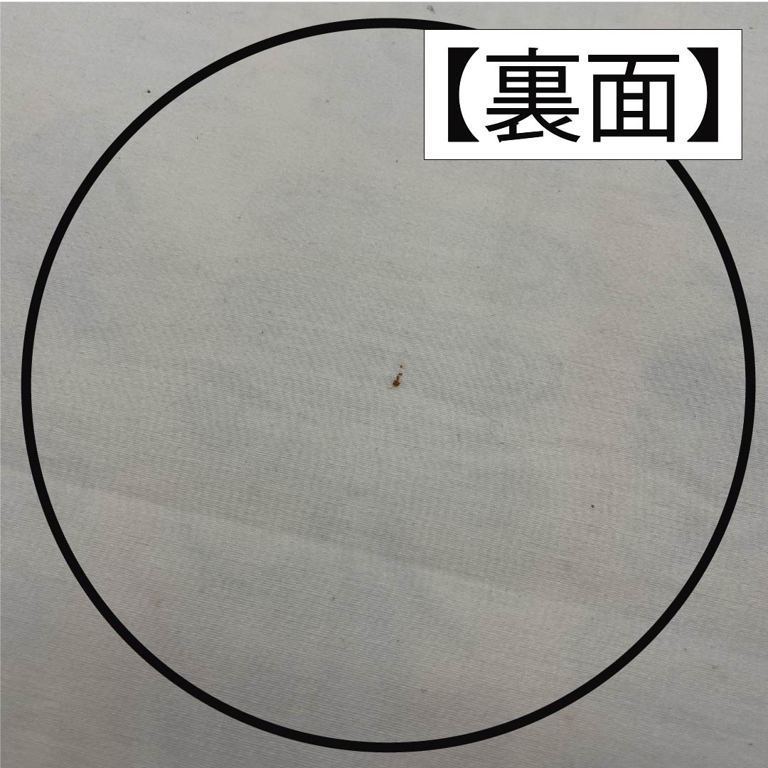 名古屋帯 生成り色(きなりいろ) 京紅型 紅型調模様 花模様 帯丈352cm 正絹 Aランク 全通 カジュアル クリーム系 1124007233315 開き仕立て