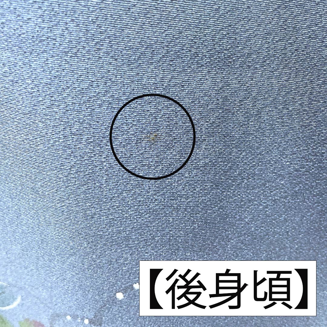 訪問着 正絹 Aランク 袷 身丈165.5cm 裄丈67cm 裏色(うらいろ) 京友禅 付下げ 草花 青系 1112006773517