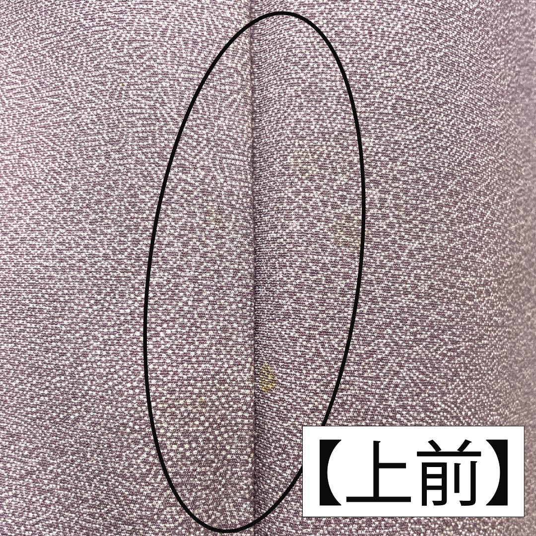 Komon, pure silk, length 155cm, sleeve length 64cm, lined, half-colored (hashitairo), Edo komon, shark komon, B rank, purple, 1115005074320