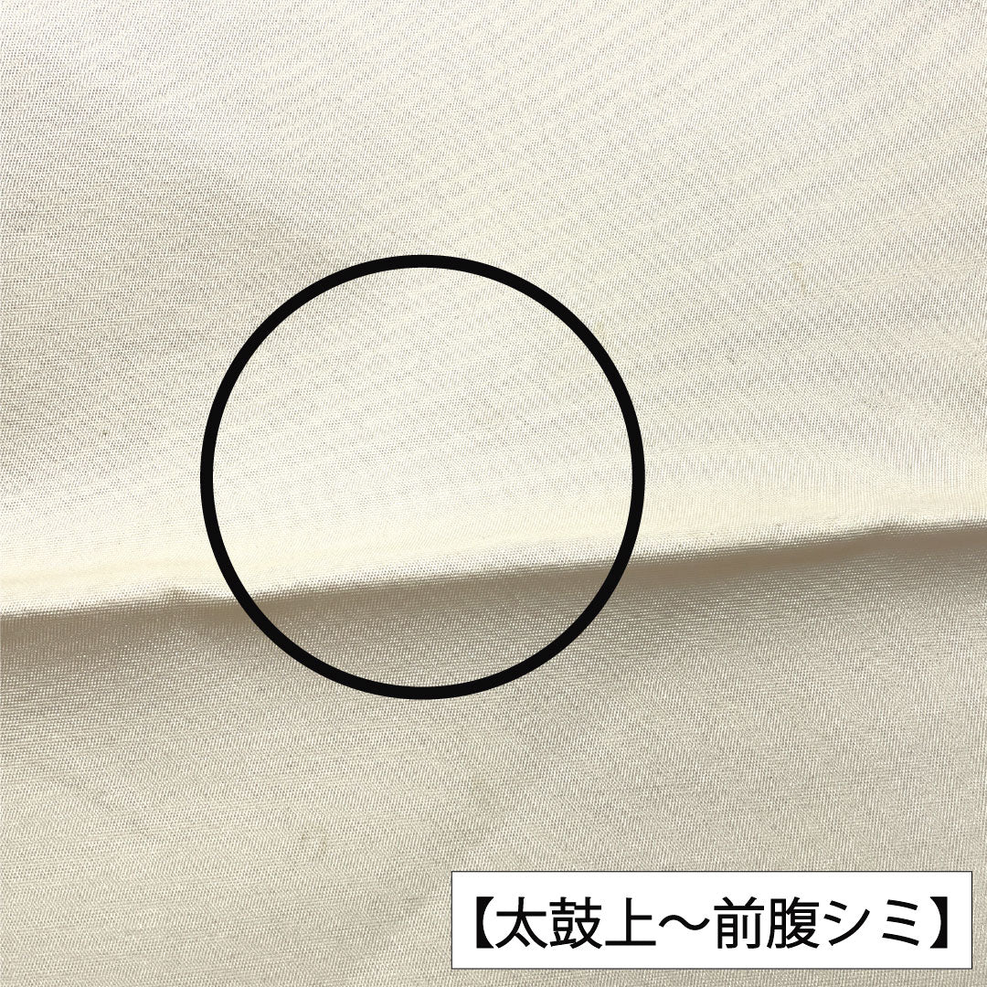 袋帯 正絹 Aランク 引箔 西陣織 部分刺繍 衝立 草花模様 帯丈426cm ポイント柄 フォーマル 銀系 1123016473322