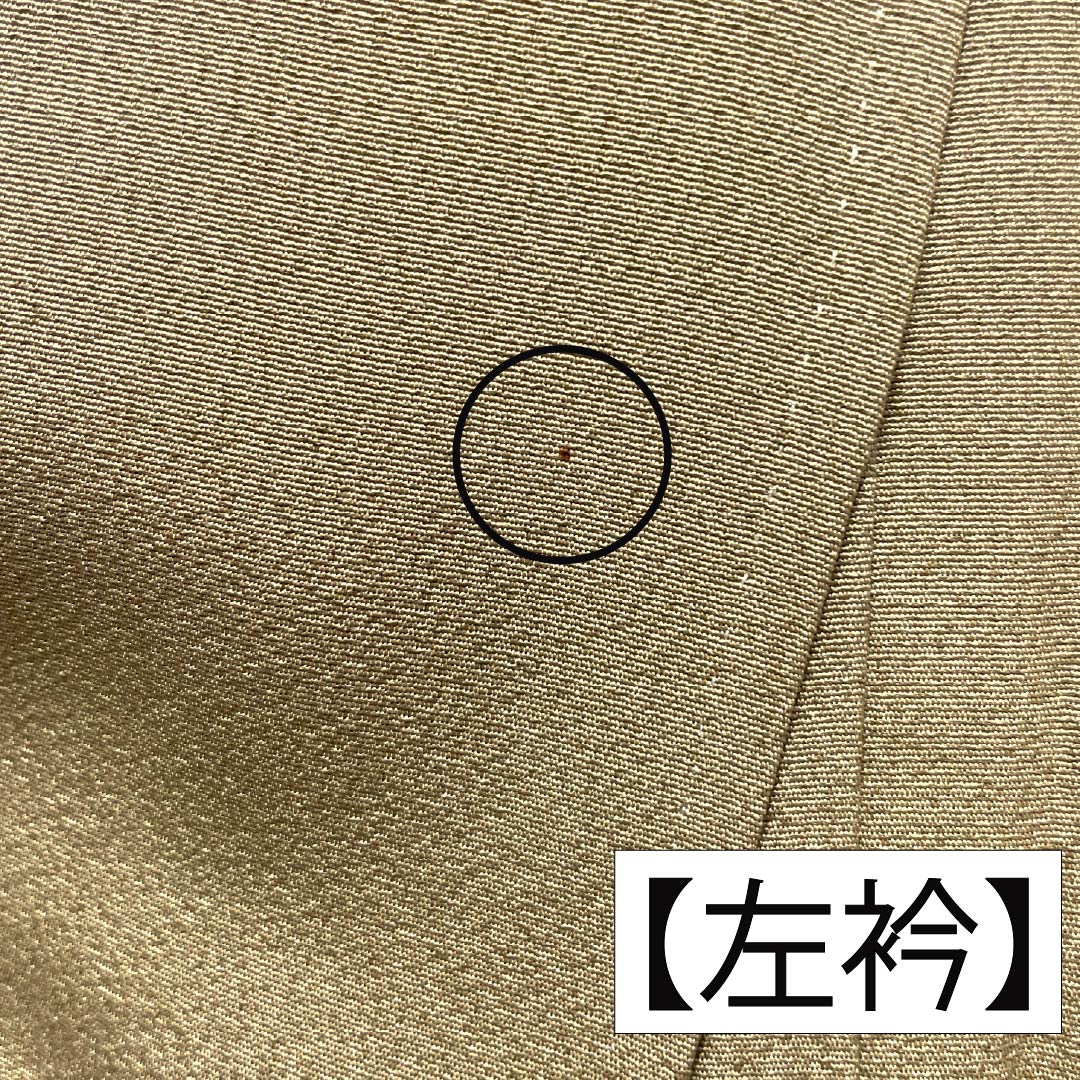 訪問着 正絹 Aランク 袷 身丈160cm 裄丈62.5cm 丁子煤竹色(ちょうじすすたけいろ) 琉球紅型 雪輪 鳳凰 風景 パールトーン加工 ベージュ系 1112007273425