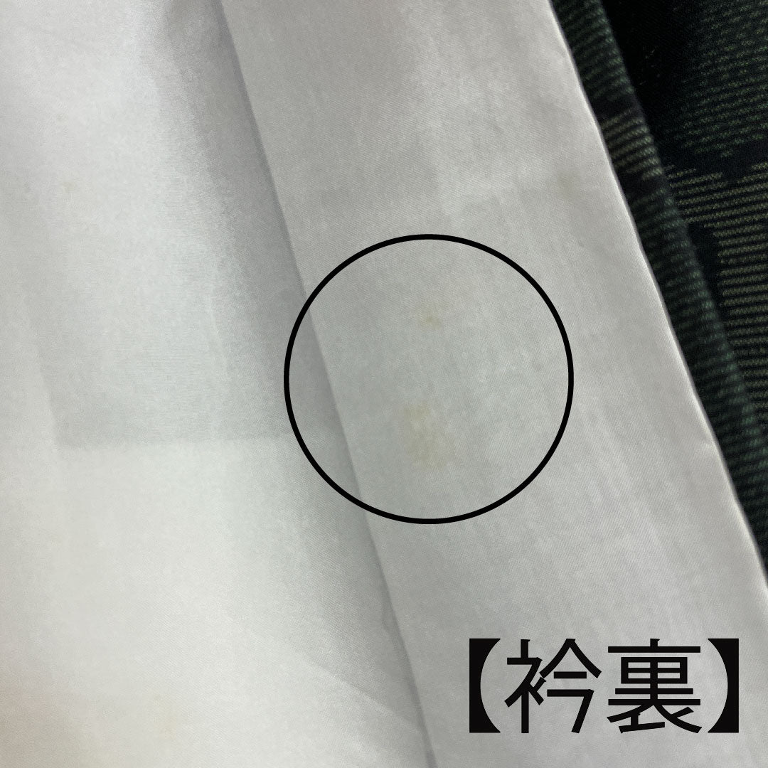 大島紬 身丈166cm 裄丈67cm 緯総絣 亀甲 正絹 Bランク 袷 緑系 1116001554519