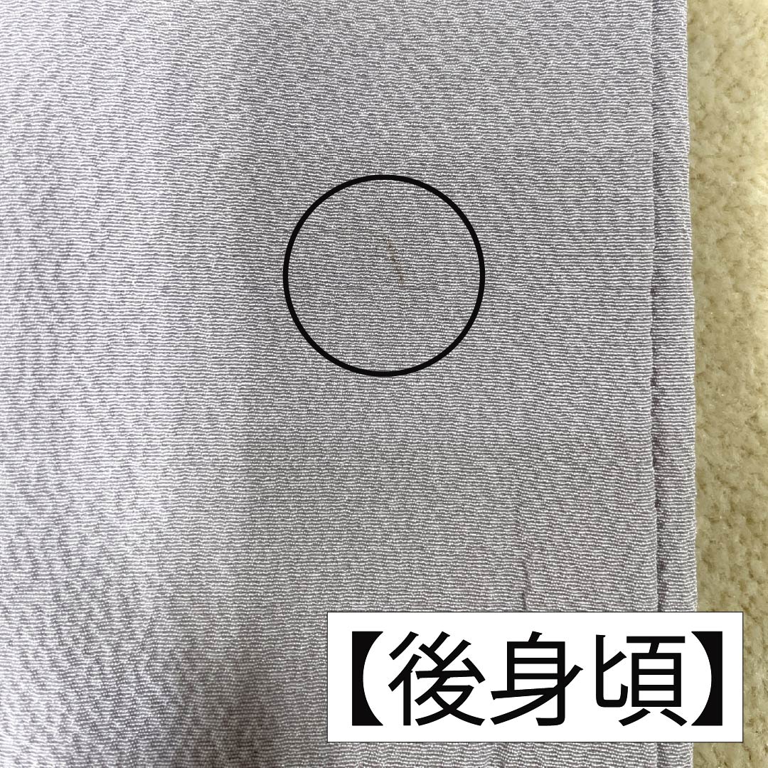 訪問着 正絹 Aランク 袷 身丈151.5cm 裄丈62cm 霞色(かすみいろ) 京友禅 辻ヶ花 紫系 1112006793220