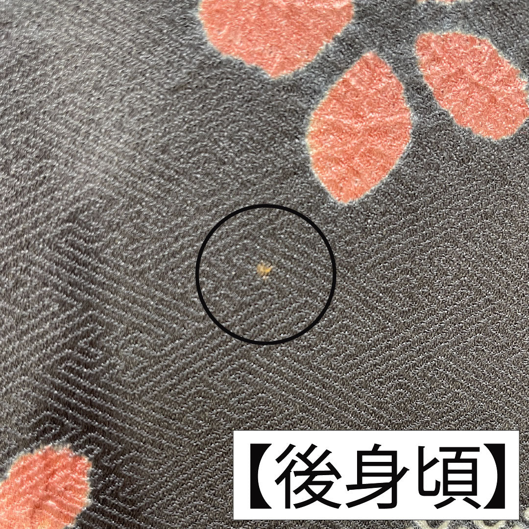 訪問着 正絹 袷 身丈164cm 裄丈63.5cm 藍鼠色(あいねずいろ) 部分絞り 桜 Aランク グレー系 1112005773422