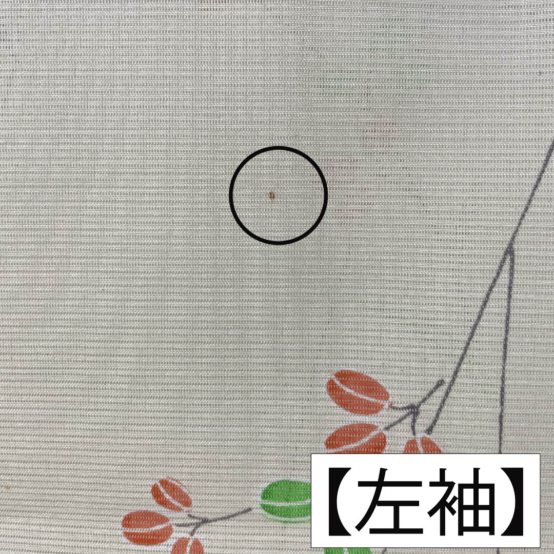 夏物 ポリエステル 小紋 Aランク 身丈163.5cm 裄丈64cm 白百合色(しらゆりいろ) 草花模様 絽 黄系 1132004513423