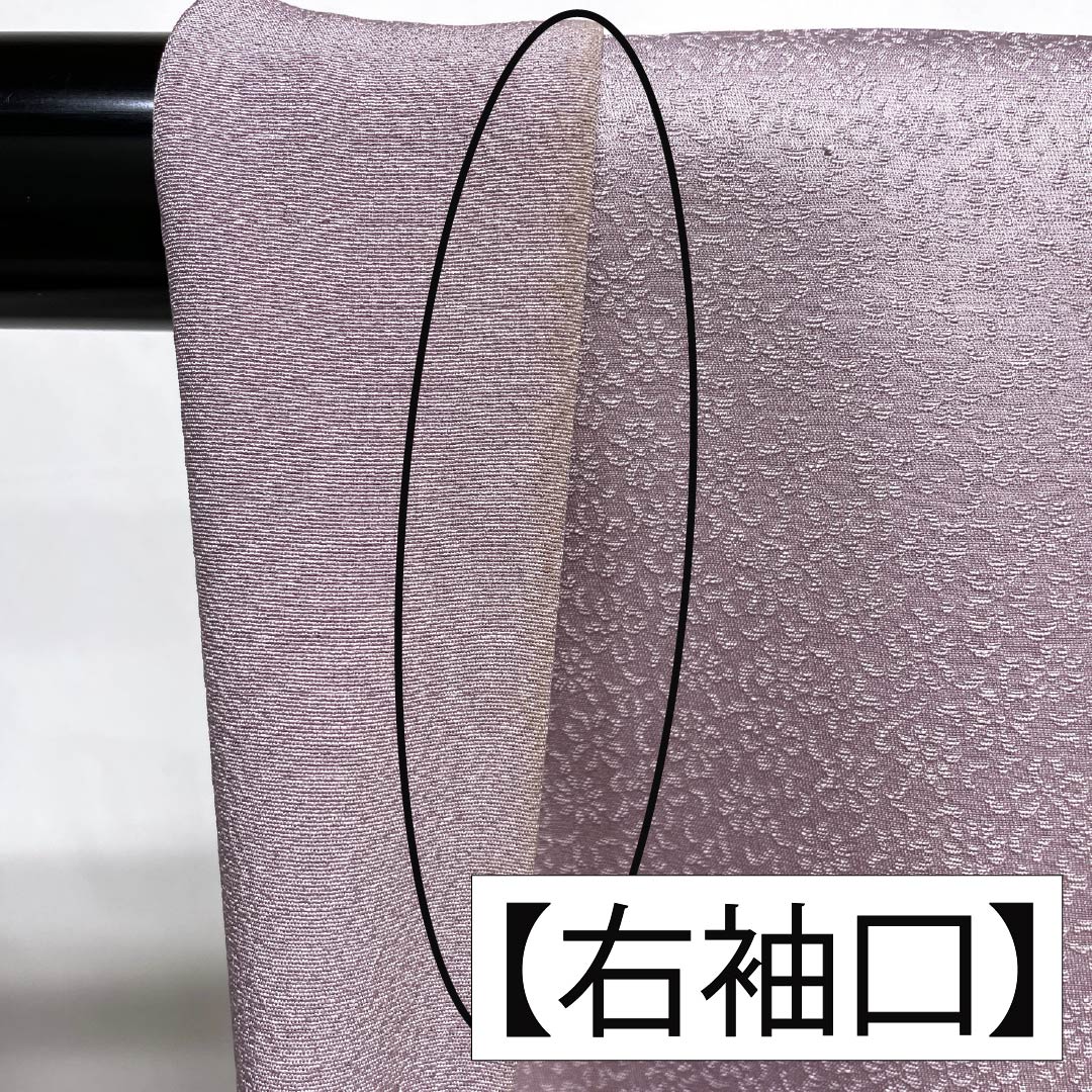 訪問着 正絹 Bランク 袷 身丈165.5cm 裄丈67.5cm 淡紅藤色(うすべにふじいろ) 付下げ 草花 紫系 1112007404520