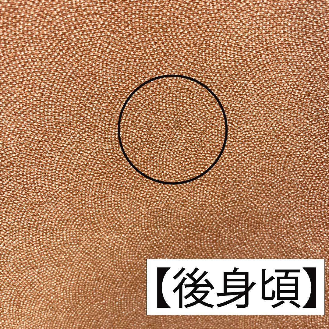 小紋 正絹 Aランク 身丈157.5cm 裄丈63cm 単衣 緋褪色(ひさめいろ) 江戸小紋 鮫柄 五三桐 縫い紋 橙系 1115007223326