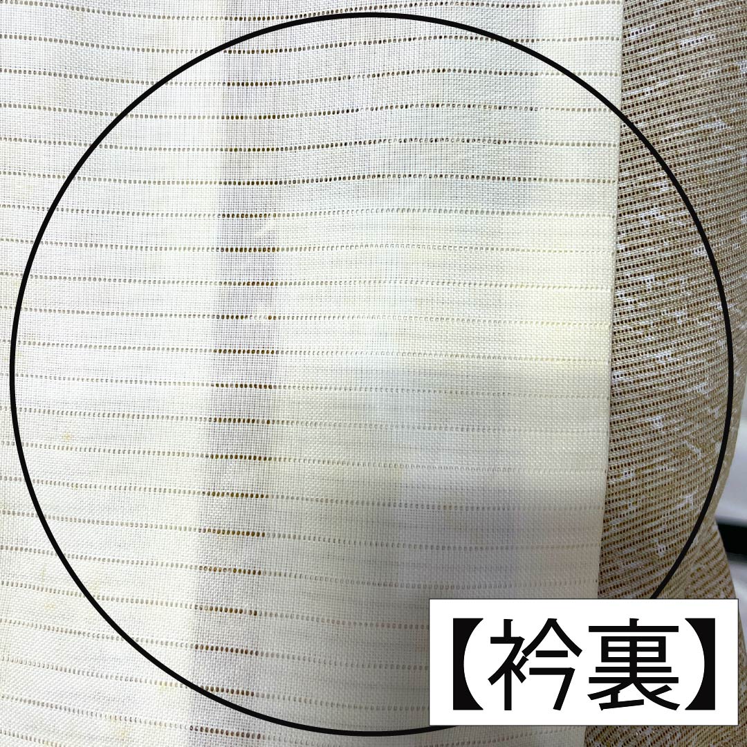 夏物 ポリエステル 小紋 Aランク 身丈151.5cm 裄丈61.5cm 芽色(かやいろ) 松葉 洗える着物 絽 ベージュ系 1132005403225